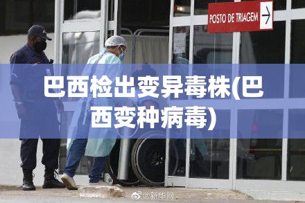 巴西检出变异毒株(巴西变种病毒) 巴西检出变异毒株(巴西变种病毒)