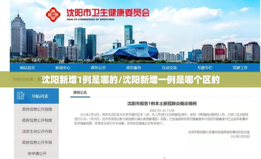 沈阳新增1例是哪的/沈阳新增一例是哪个区的