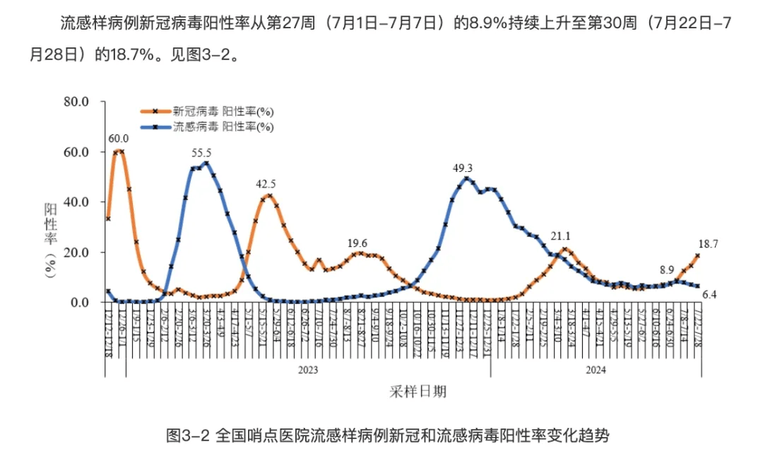 新冠重症率增加了吗?张文宏解答/新冠疫情重症率