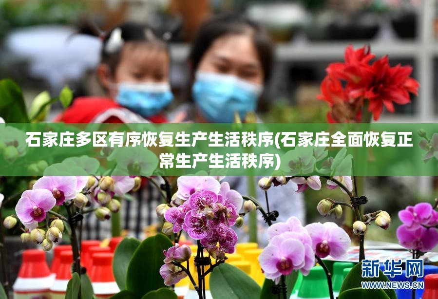 石家庄多区有序恢复生产生活秩序(石家庄全面恢复正常生产生活秩序)