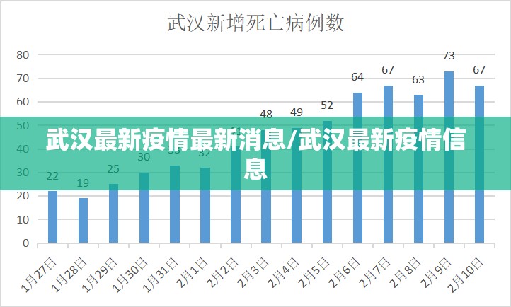 武汉最新疫情最新消息/武汉最新疫情信息