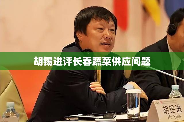 胡锡进评长春蔬菜供应问题
