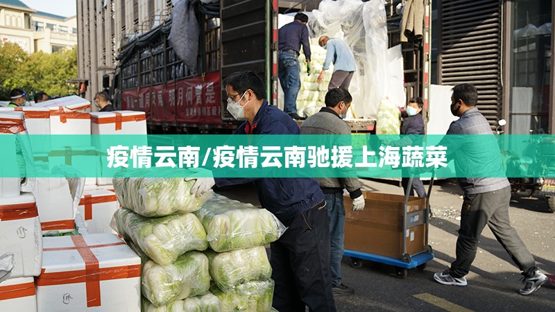 疫情云南/疫情云南驰援上海蔬菜 疫情云南/疫情云南驰援上海蔬菜
