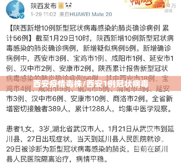 西安疫情毒株/西安1例冠状病毒