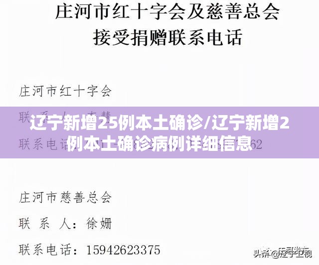 辽宁新增25例本土确诊/辽宁新增2例本土确诊病例详细信息 辽宁新增25例本土确诊/辽宁新增2例本土确诊病例详细信息