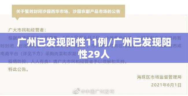 广州已发现阳性11例/广州已发现阳性29人 广州已发现阳性11例/广州已发现阳性29人