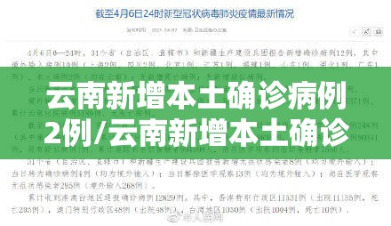 云南新增本土确诊病例2例/云南新增本土确诊病 例12例 云南新增本土确诊病例2例/云南新增本土确诊病 例12例