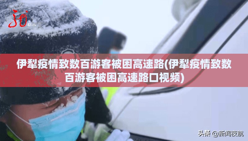 伊犁疫情致数百游客被困高速路(伊犁疫情致数百游客被困高速路口视频) 伊犁疫情致数百游客被困高速路(伊犁疫情致数百游客被困高速路口视频)