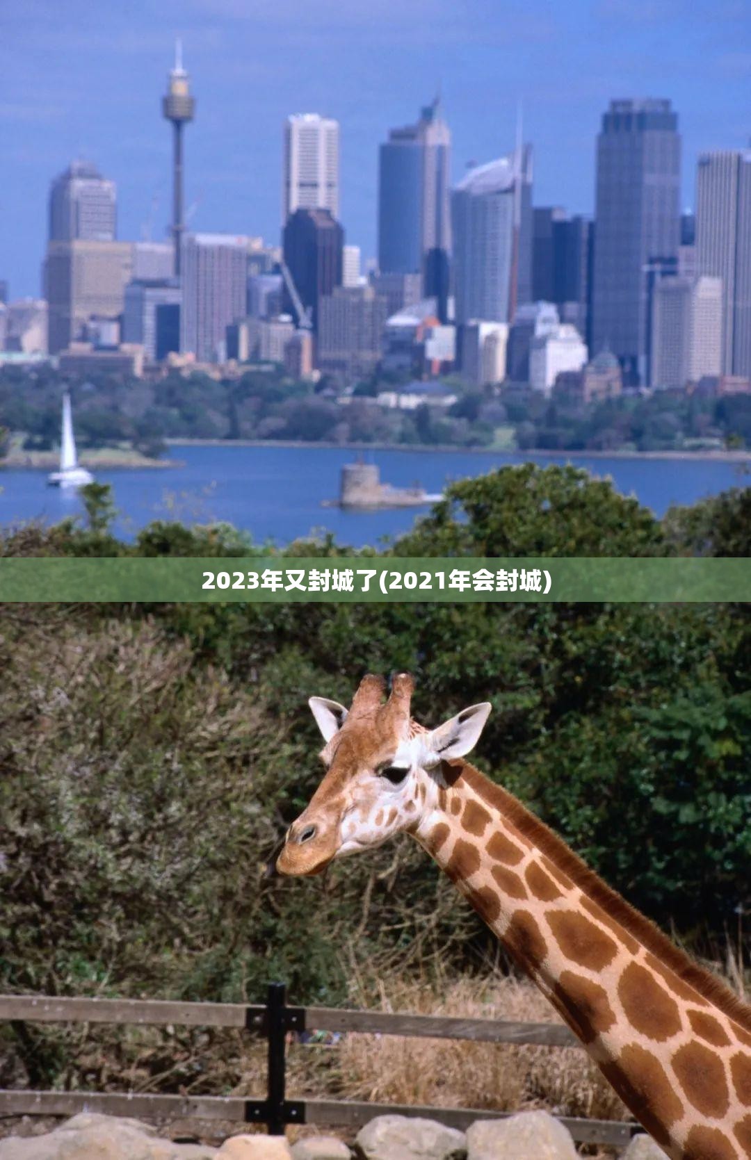 2023年又封城了(2021年会封城) 2023年又封城了(2021年会封城)