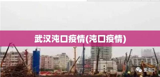 武汉沌口疫情(沌囗疫情) 武汉沌口疫情(沌囗疫情)