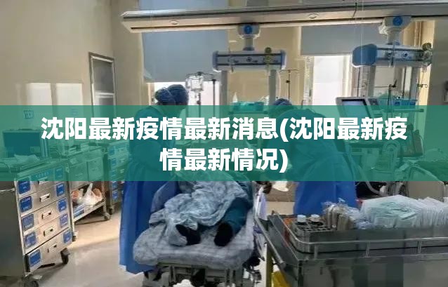 沈阳最新疫情最新消息(沈阳最新疫情最新情况)