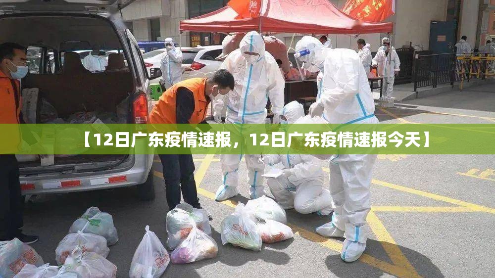 【12日广东疫情速报，12日广东疫情速报今天】