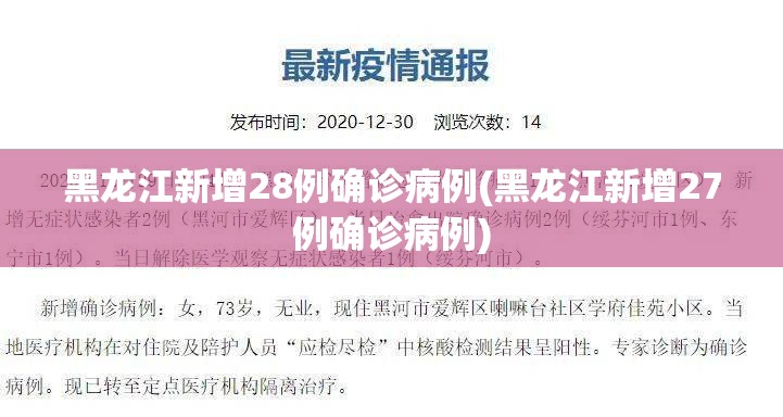 黑龙江新增28例确诊病例(黑龙江新增27例确诊病例) 黑龙江新增28例确诊病例(黑龙江新增27例确诊病例)