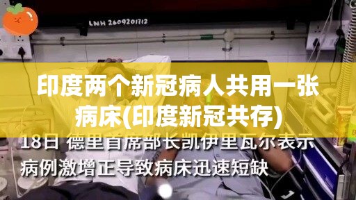 印度两个新冠病人共用一张病床(印度新冠共存) 印度两个新冠病人共用一张病床(印度新冠共存)