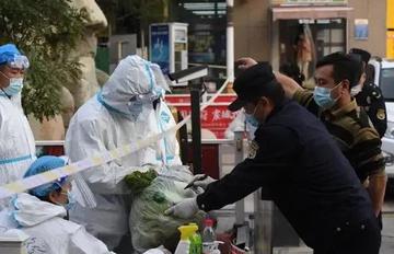 【上海疫情最新消息什么时候结束,上海疫惰情况】 【上海疫情最新消息什么时候结束,上海疫惰情况】