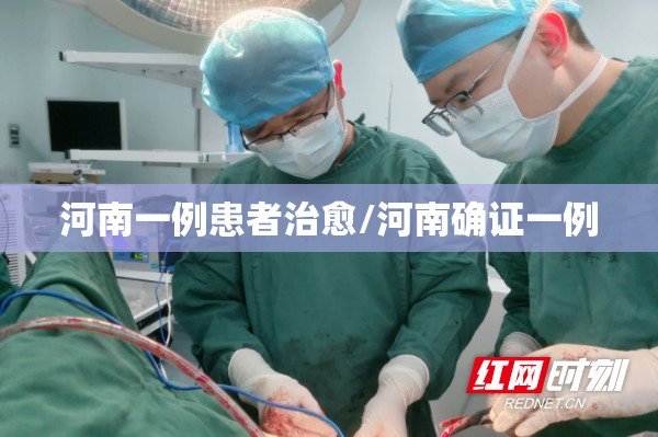 河南一例患者治愈/河南确证一例 河南一例患者治愈/河南确证一例