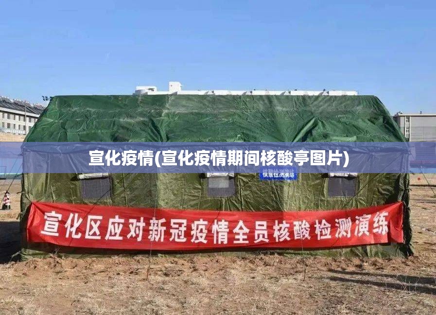 宣化疫情(宣化疫情期间核酸亭图片) 宣化疫情(宣化疫情期间核酸亭图片)