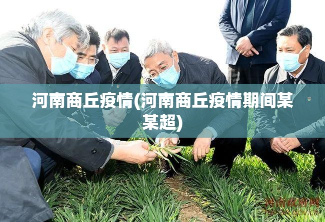 河南商丘疫情(河南商丘疫情期间某某超) 河南商丘疫情(河南商丘疫情期间某某超)