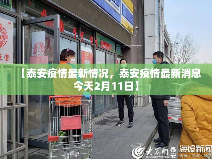 【泰安疫情最新情况,泰安疫情最新消息今天2月11日】 【泰安疫情最新情况,泰安疫情最新消息今天2月11日】