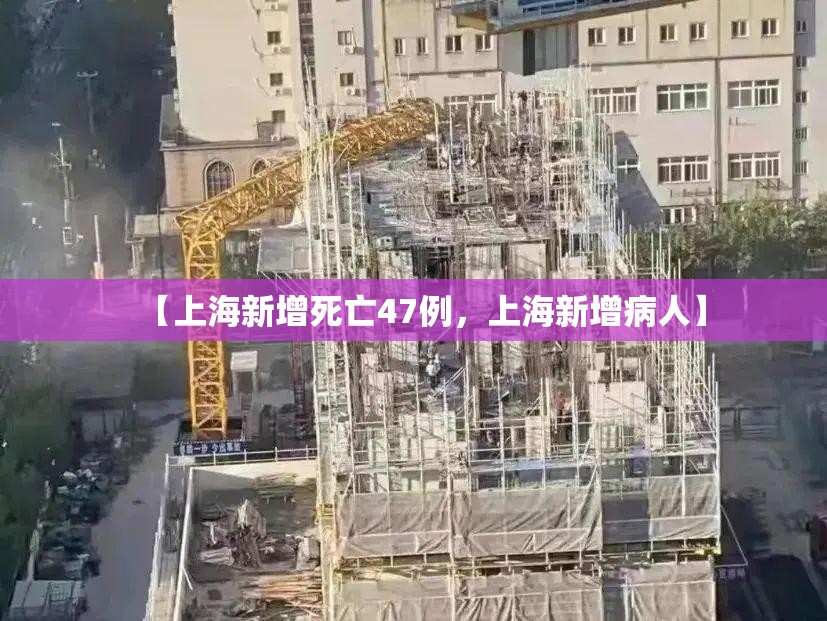 【上海新增死亡47例,上海新增病人】 【上海新增死亡47例,上海新增病人】