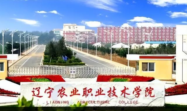 4天报224例感染者辽宁一职校道歉(辽宁职业技术学校) 4天报224例感染者辽宁一职校道歉(辽宁职业技术学校)