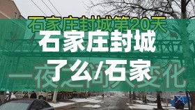 石家庄封城了么/石家庄封城封了几天
