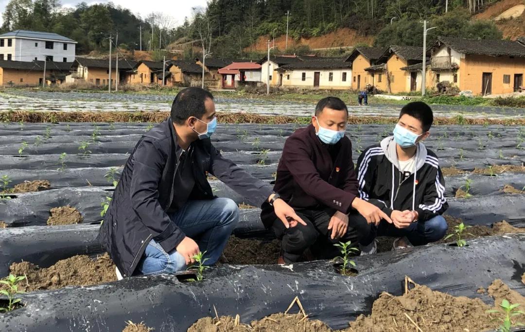 官方谈为何这波疫情居高不下(为什么疫情不断) 官方谈为何这波疫情居高不下(为什么疫情不断)