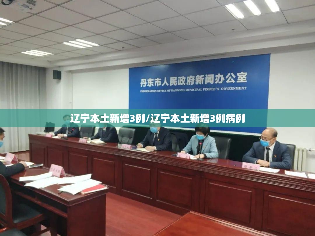 辽宁本土新增3例/辽宁本土新增3例病例