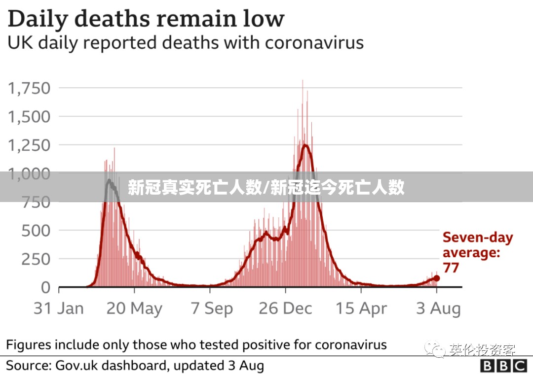 新冠真实死亡人数/新冠迄今死亡人数