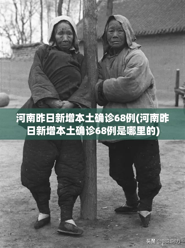 河南昨日新增本土确诊68例(河南昨日新增本土确诊68例是哪里的)