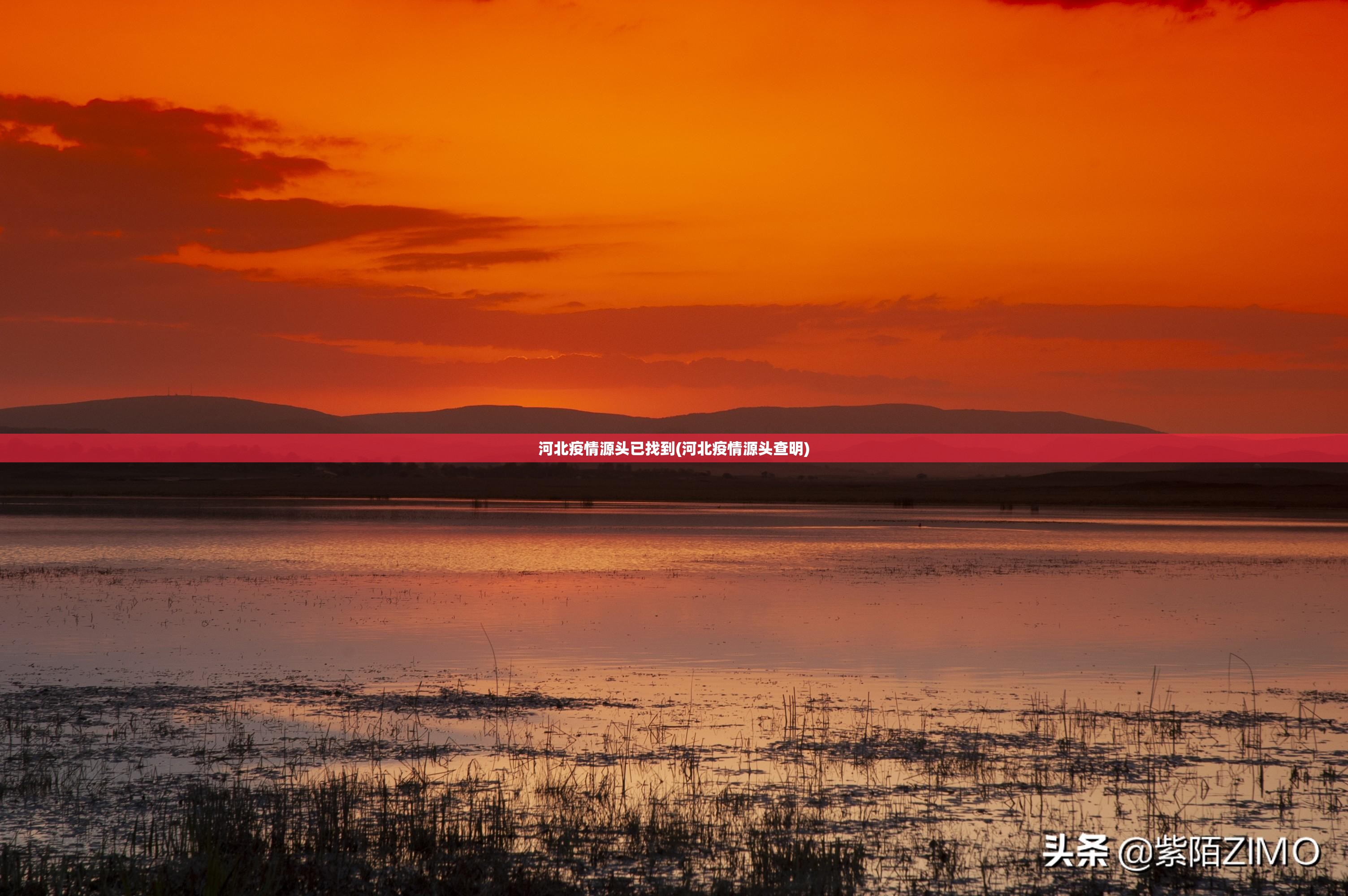 河北疫情源头已找到(河北疫情源头查明) 河北疫情源头已找到(河北疫情源头查明)