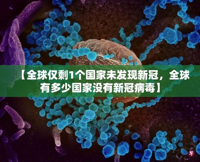 【全球仅剩1个国家未发现新冠,全球有多少国家没有新冠病毒】 【全球仅剩1个国家未发现新冠,全球有多少国家没有新冠病毒】
