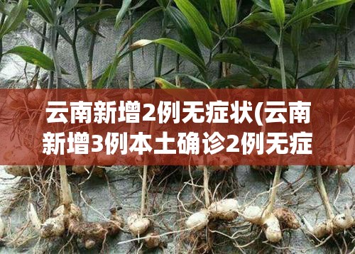 云南新增2例无症状(云南新增3例本土确诊2例无症状) 云南新增2例无症状(云南新增3例本土确诊2例无症状)