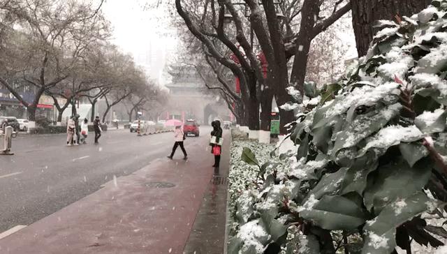 疫情沈阳(疫情沈阳封城公交停运) 疫情沈阳(疫情沈阳封城公交停运)