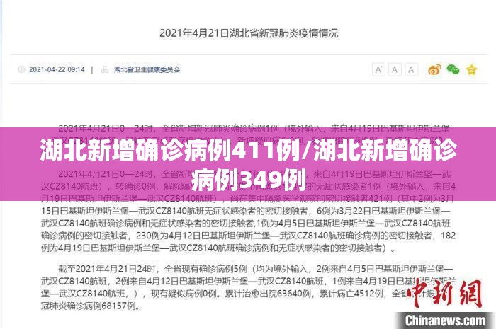 湖北新增确诊病例411例/湖北新增确诊病例349例 湖北新增确诊病例411例/湖北新增确诊病例349例