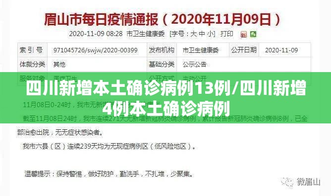 四川新增本土确诊病例13例/四川新增4例本土确诊病例 四川新增本土确诊病例13例/四川新增4例本土确诊病例