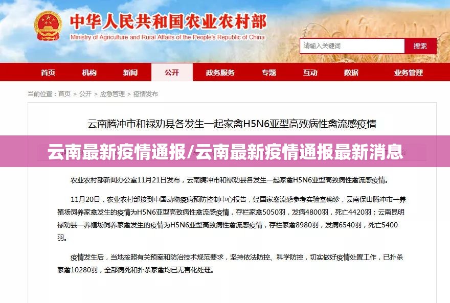 云南最新疫情通报/云南最新疫情通报最新消息 云南最新疫情通报/云南最新疫情通报最新消息