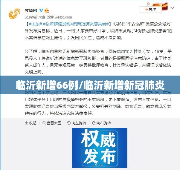 临沂新增66例/临沂新增新冠肺炎 临沂新增66例/临沂新增新冠肺炎
