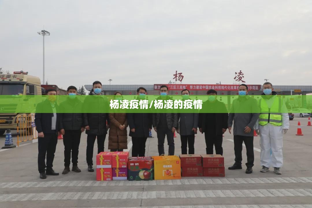 杨凌疫情/杨凌的疫情 杨凌疫情/杨凌的疫情