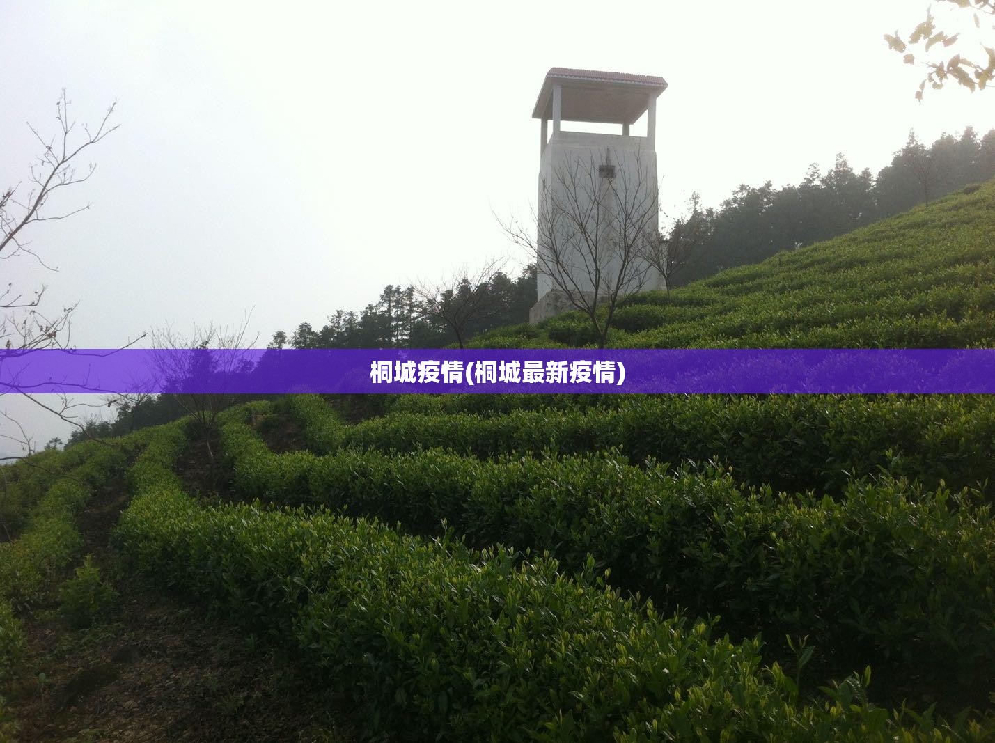 桐城疫情(桐城最新疫情) 桐城疫情(桐城最新疫情)