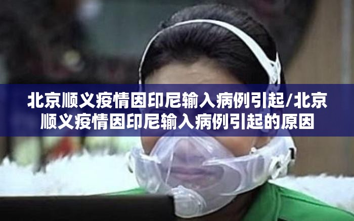 北京顺义疫情因印尼输入病例引起/北京顺义疫情因印尼输入病例引起的原因 北京顺义疫情因印尼输入病例引起/北京顺义疫情因印尼输入病例引起的原因