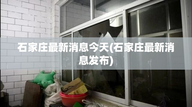 石家庄最新消息今天(石家庄最新消息发布) 石家庄最新消息今天(石家庄最新消息发布)
