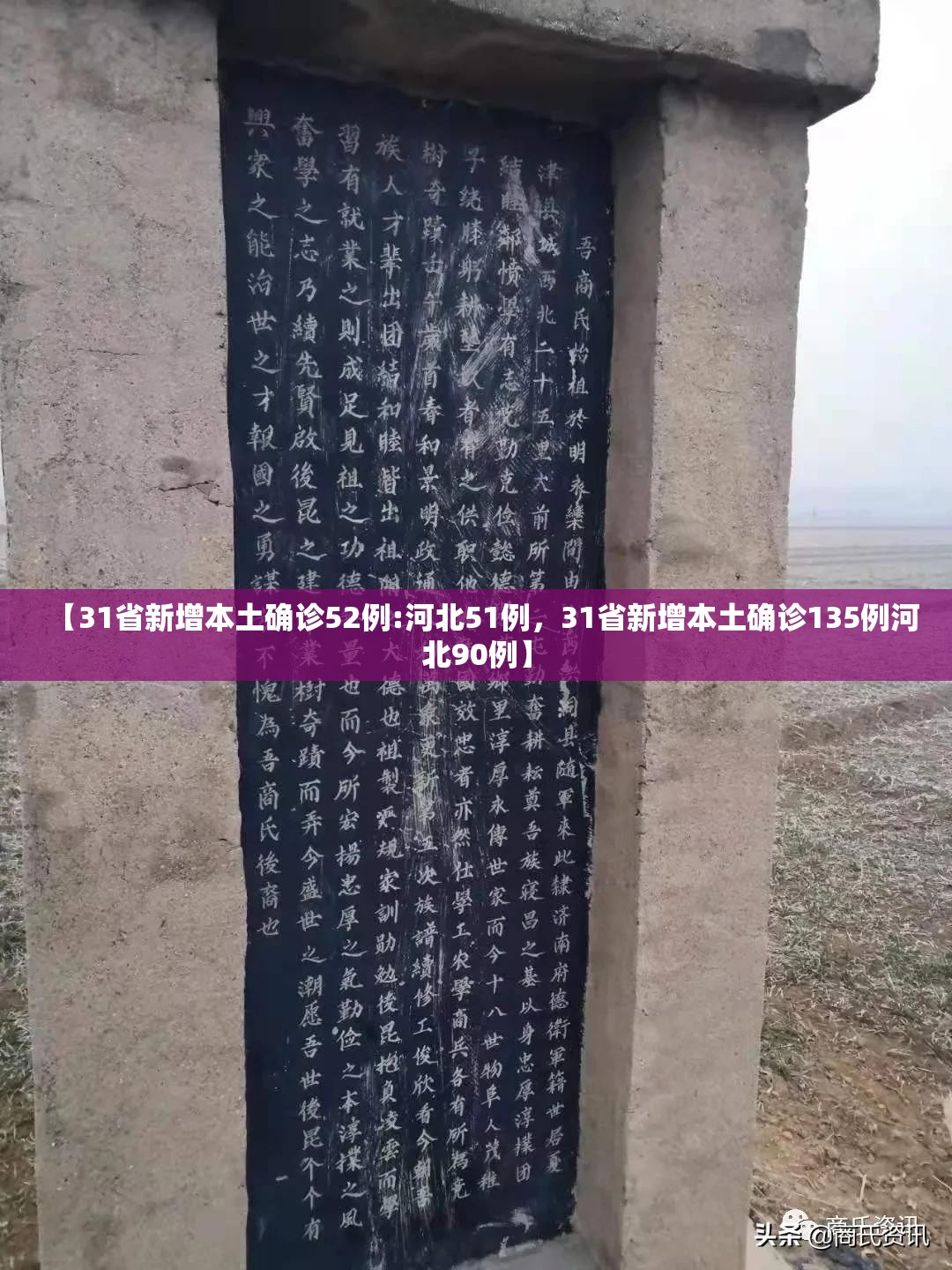 【31省新增本土确诊52例:河北51例，31省新增本土确诊135例河北90例】