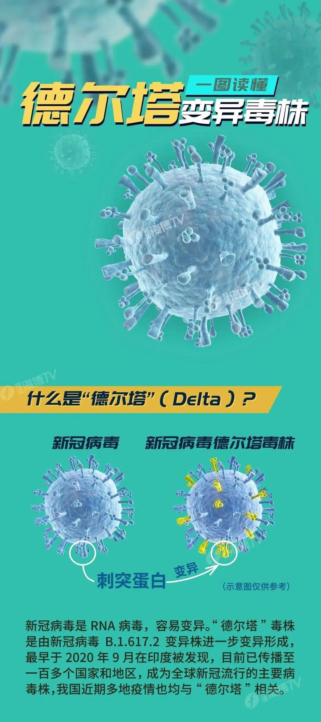 新病毒德尔塔/新病毒德尔塔情况 新病毒德尔塔/新病毒德尔塔情况