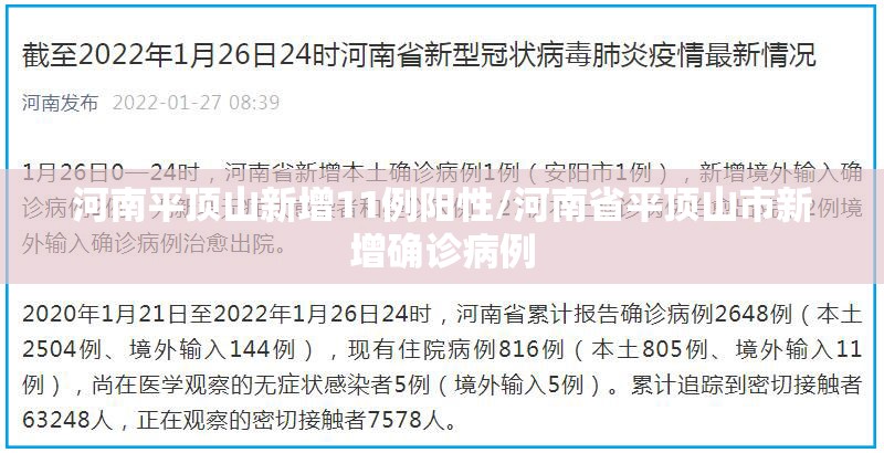 河南平顶山新增11例阳性/河南省平顶山市新增确诊病例