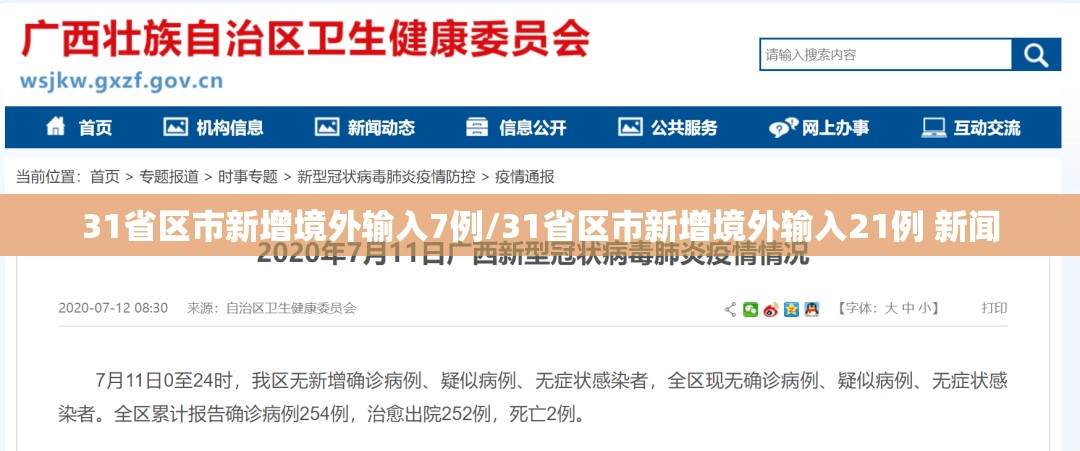 31省区市新增境外输入7例/31省区市新增境外输入21例 新闻