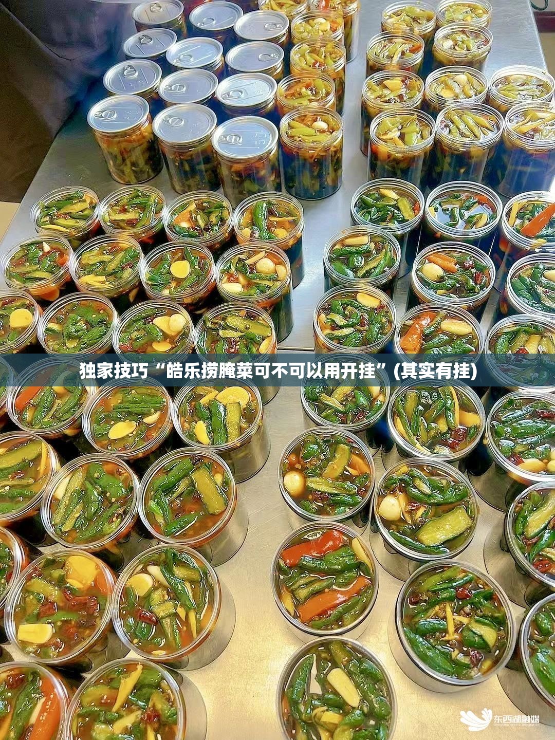 独家技巧“皓乐捞腌菜可不可以用开挂”(其实有挂) 独家技巧“皓乐捞腌菜可不可以用开挂”(其实有挂)